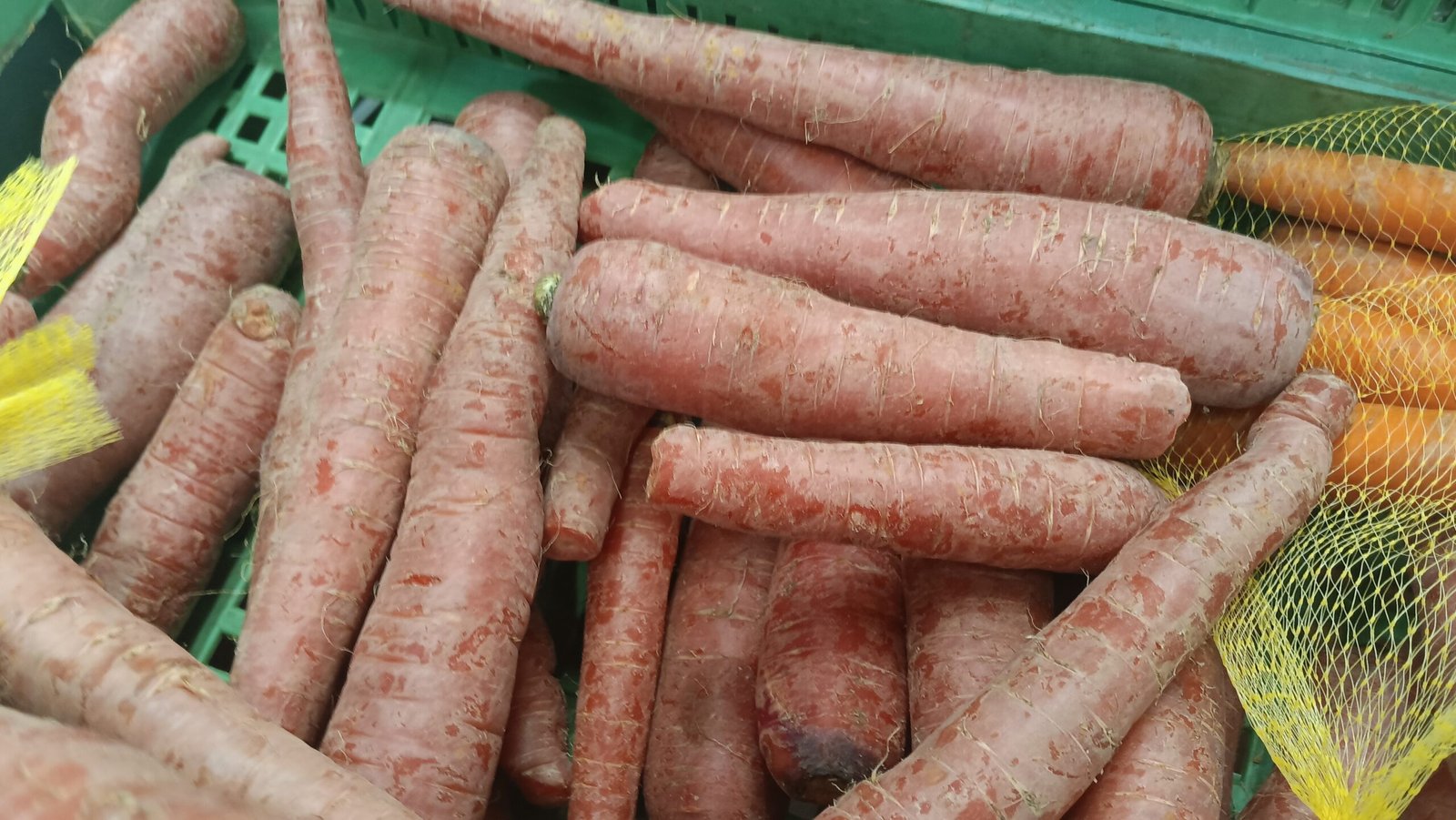 Fresh Red Carrots