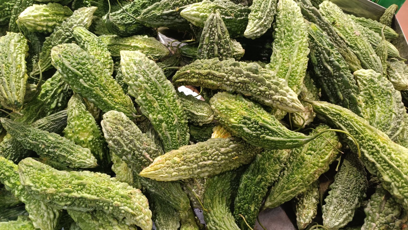 “Bitter gourds at a bustling Karachi market — a vegetable prized for its bold flavor and powerful nutritional benefits.”